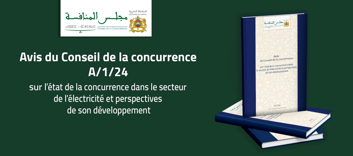 Avis du Conseil de la concurrence A/1/24 sur l’état de la concurrence dans le secteur de l’électricité et perspectives de son développement